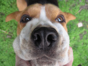 Coucou les amies !