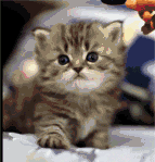 Comment faire votre petit clown !