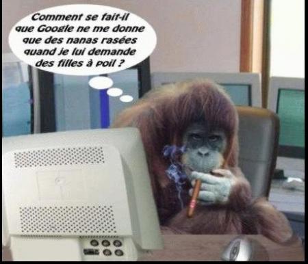 Doit y avoir un truc !