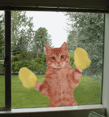 Je demande une souris par heure !