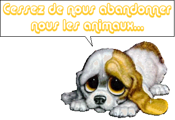 Non à l'abandon !