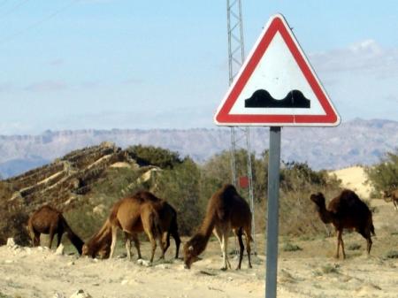 Attention aux bosses !