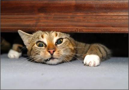Help ! Chui coincé !
