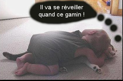 Help ! Mais que fait la protection des animaux !