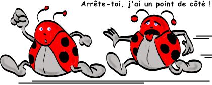 Trop chou !