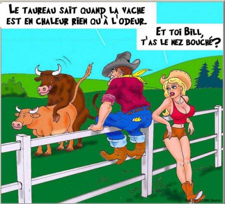 Alors cowboy, tu te bouges !