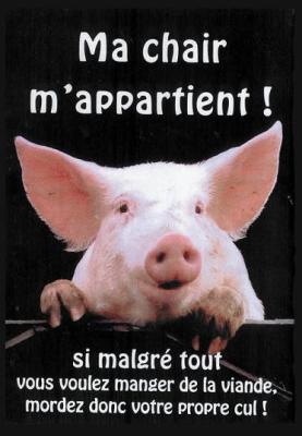 Si c'est lui qui le dit !