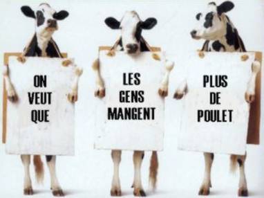 Prochaine manifestation en ville