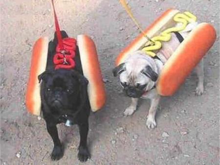 Moutarde ou Ketchup ?