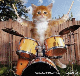 Je suis le plus grand batteur de tous les temps
