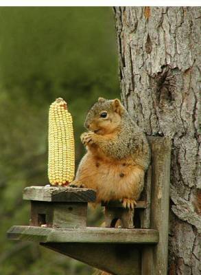 Bon appétit !
