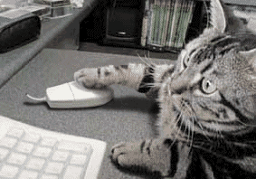 Toujours la même chose avec cette foutue souris ! 
