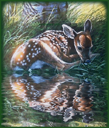 La biche