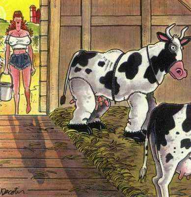 Belle des champs