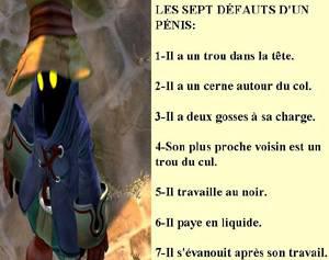 Les sept défauts du pénis