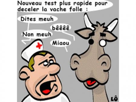 C'est vache comme maladie !