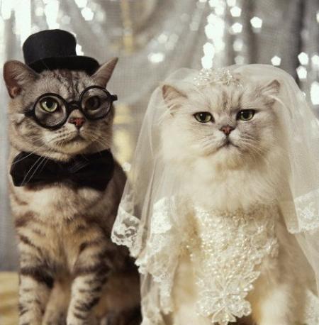 Je vous déclare unis par les liens du mariage !
