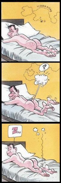 KO !  Le moustique !