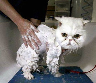 Moi, j'aime pas le bain !
