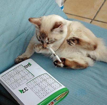 J'aime faire travailler mes neurones !
