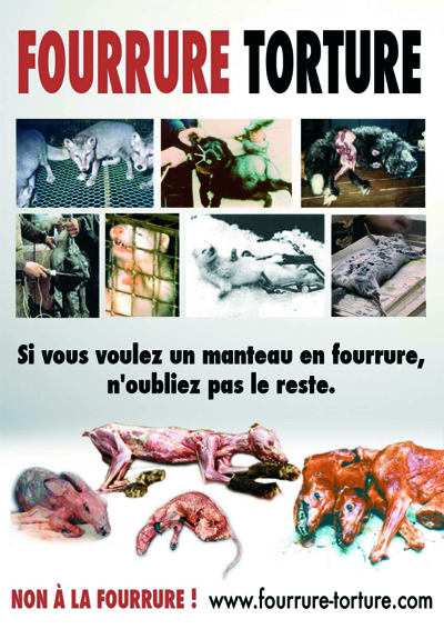 Stop aux articles en fourrure !