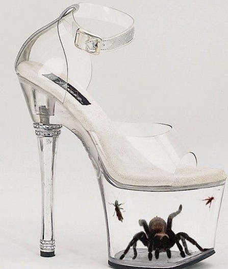 La chaussure qui fera fureur l'été prochain !