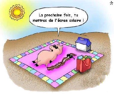 Du lard ou du cochon ?