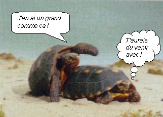 Quel vantard celui-là !