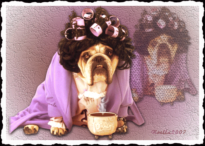 Oh que c'est dur le matin !