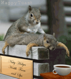 Bonne journée !
