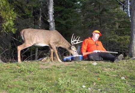 Je préfère les chasseurs comme ça !