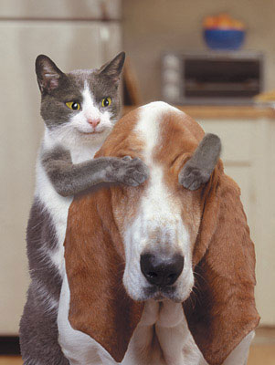 Les meilleurs positions au lit !