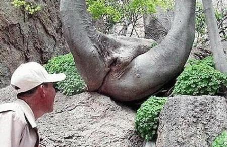 La nature nous surprendra toujours !