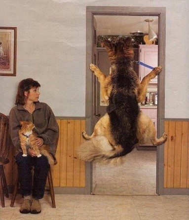 Non, non, non ! j'irai pas, je veux pas mon vaccin !