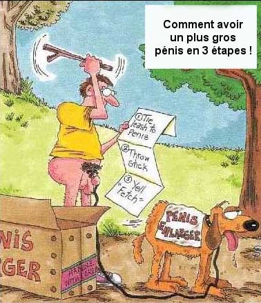 Rapporte Médor !