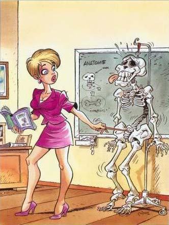 Cours d'anatomie !