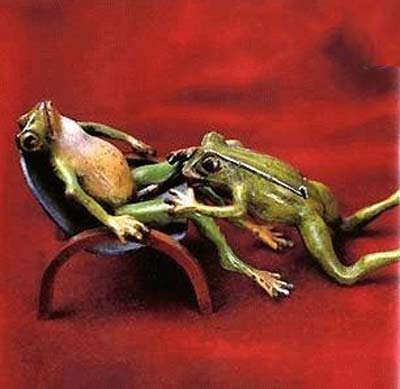Grenouilles coquines !