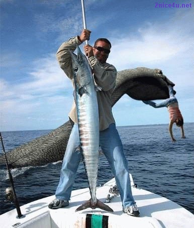 Aujourd'hui la pêche est fructueuse !