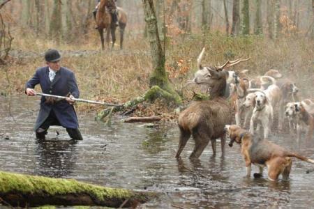 Stop à la chasse à courre en France
