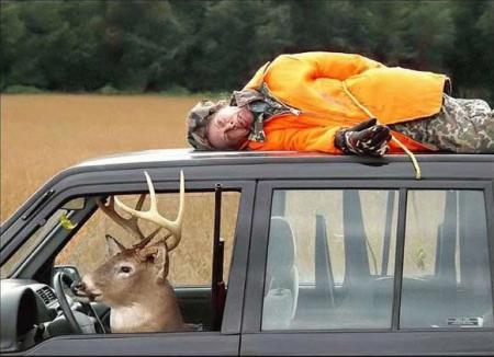 La chasse a été fructueuse aujourd'hui !