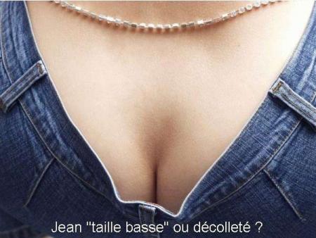 Que voyez-vous ?