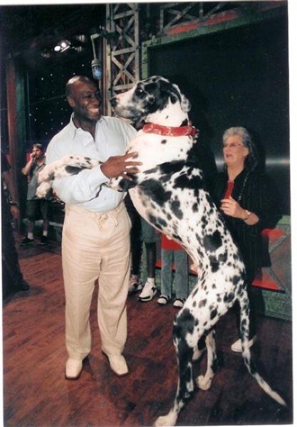 Le chien le plus grand du monde !