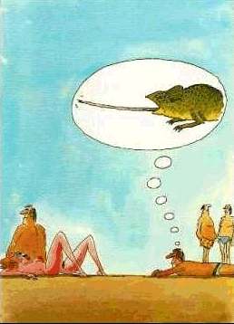 Dommage !