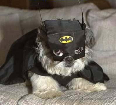 Pssst ! Je suis là incognito !