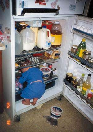 Petite virée nocturne dans le frigo !