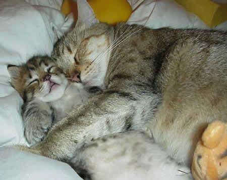 Tout simplement adorable !